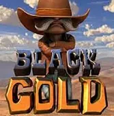 Blackgold на Champion